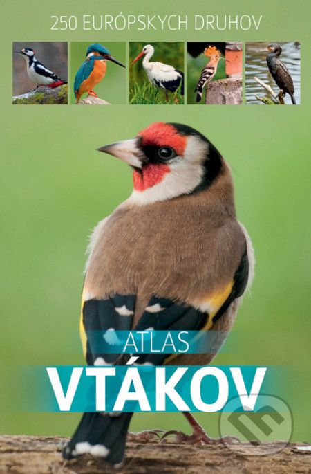 Atlas vtákov - - obrázek 1