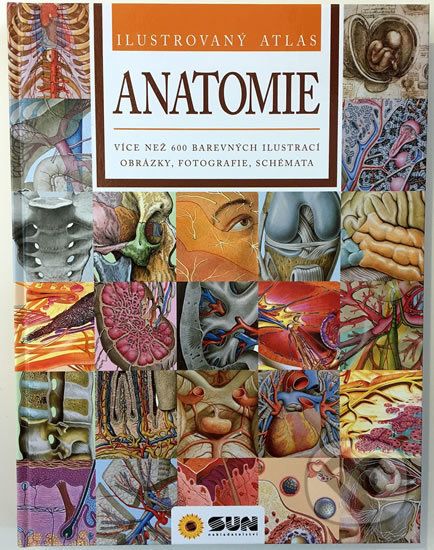 Anatomie - Ilustrovaný atlas - - obrázek 1