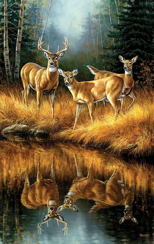 SunsOut Puzzle 550 dílků Rosemary Millette - Whitetail Reflections - obrázek 1