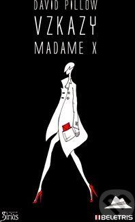 Vzkazy Madame X - David Pillow - obrázek 1