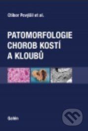 Patomorfologie chorob kostí a kloubů - Ctibor Povýšil - obrázek 1