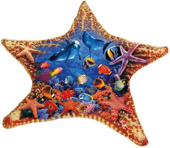 SunsOut Puzzle 600 dílků Steve Sundram - Starfish - obrázek 1