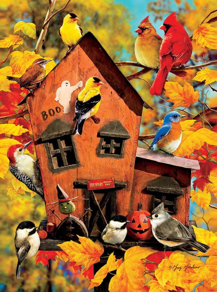SunsOut Puzzle 1000 dílků Greg Giordano - Fall Birds - obrázek 1