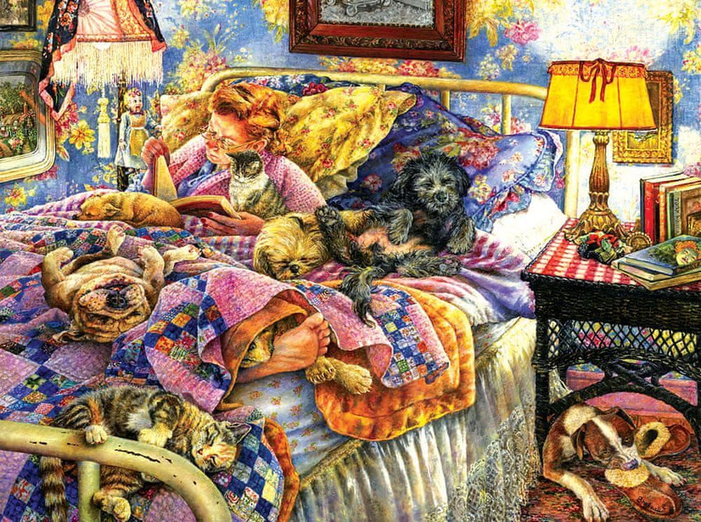 SunsOut Puzzle 1000 dílků Susan Brabeau - Pet Bed - obrázek 1