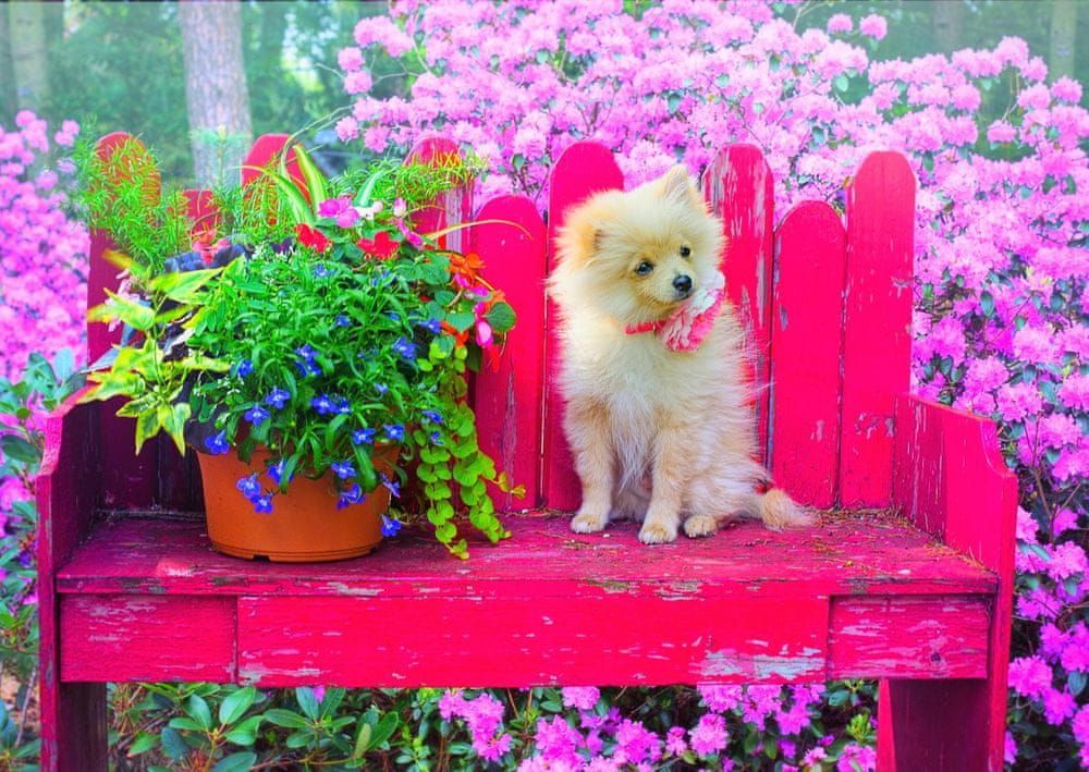 Blue Bird Puzzle 500 dílků Puppy in the Colorful Garden - obrázek 1