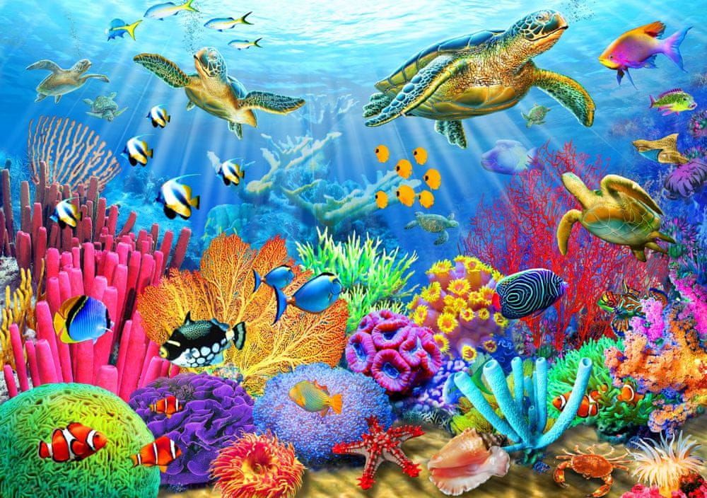 Blue Bird Puzzle 1000 dílků Turtle Coral Reef - obrázek 1