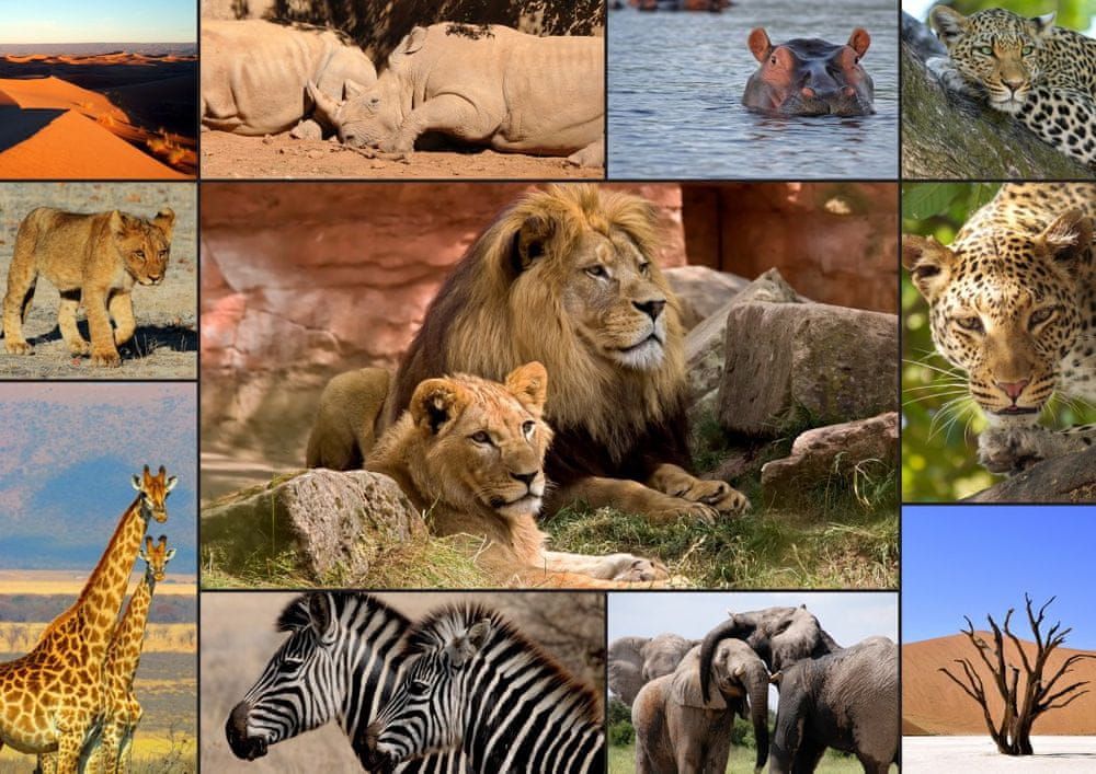 Grafika Puzzle 1500 dílků Collage - Wildlife - obrázek 1
