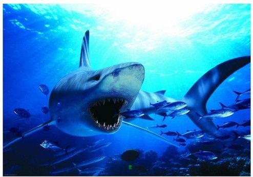 EuroGraphics Puzzle 1000 dílků Requin affamé - obrázek 1