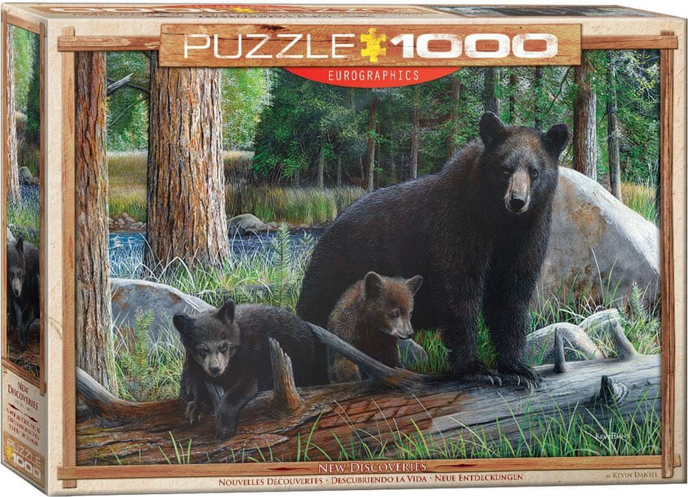 EuroGraphics Puzzle 1000 dílků New Discoveries - obrázek 1