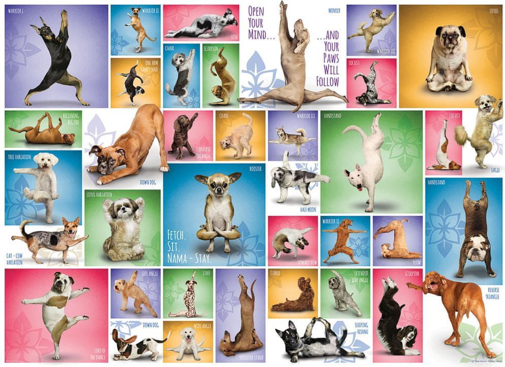 EuroGraphics Puzzle 1000 dílků Yoga Dogs - obrázek 1