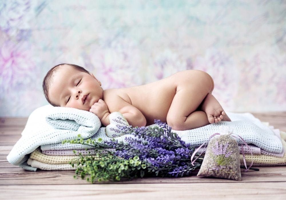 Grafika Puzzle 1000 dílků Konrad Bak: Baby Lavender - obrázek 1