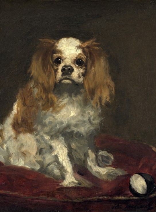 Grafika Puzzle 2000 dílků Edouard Manet: A King Charles Spaniel, 1866 - obrázek 1