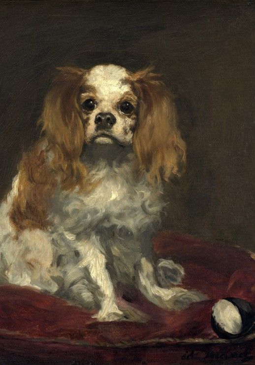 Grafika Puzzle 1000 dílků Edouard Manet: A King Charles Spaniel, 1866 - obrázek 1