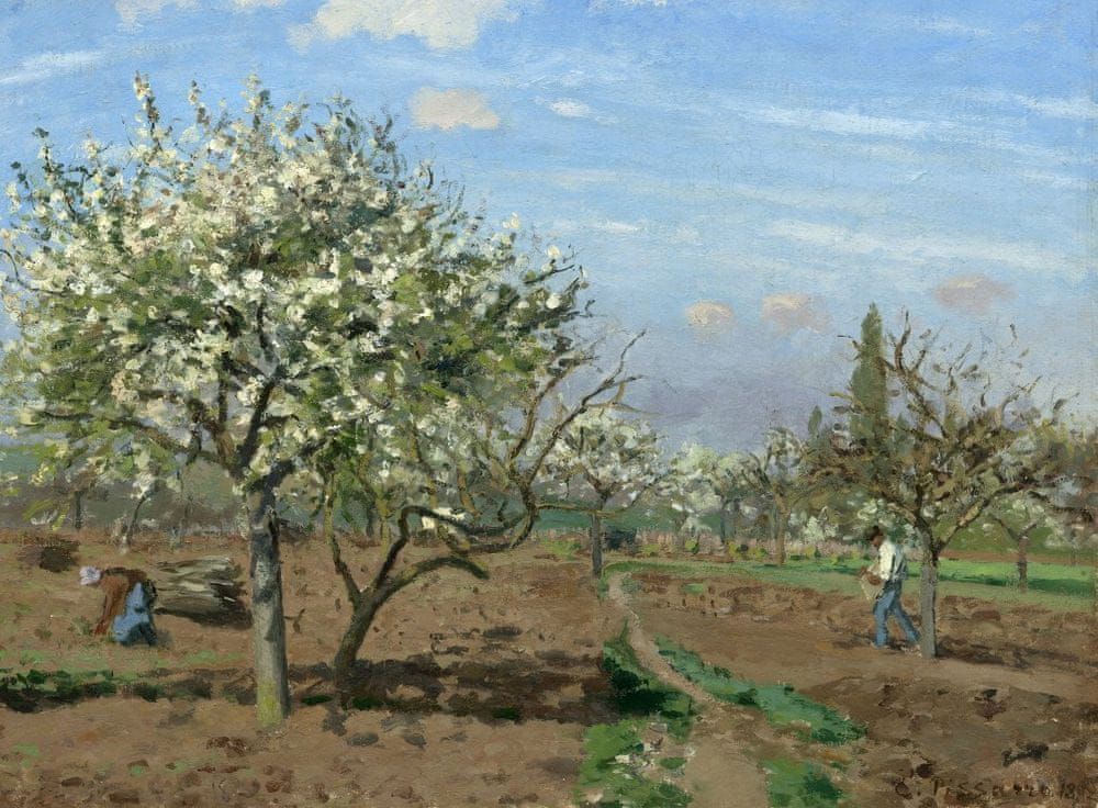 Grafika Puzzle 2000 dílků Camille Pissarro : Orchard in Bloom, Louveciennes, - obrázek 1