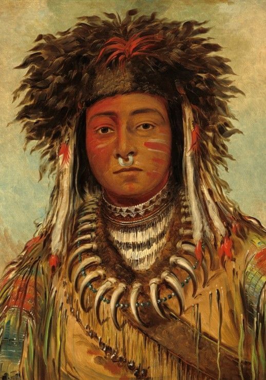 Grafika Puzzle 1000 dílků George Catlin: Boy Chief - Ojibbeway, 1843 - obrázek 1