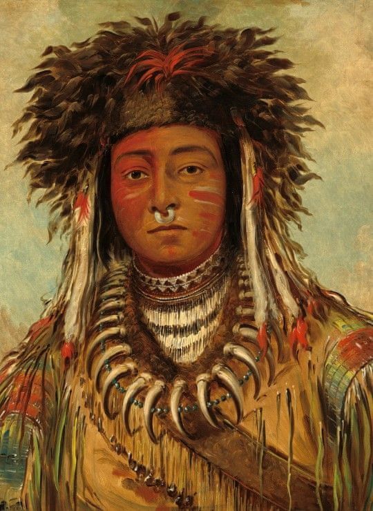 Grafika Puzzle 300 dílků George Catlin: Boy Chief - Ojibbeway, 1843 - obrázek 1