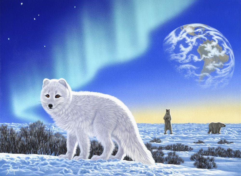 Grafika Puzzle 300 dílků Schim Schimmel - Artic Fox - obrázek 1