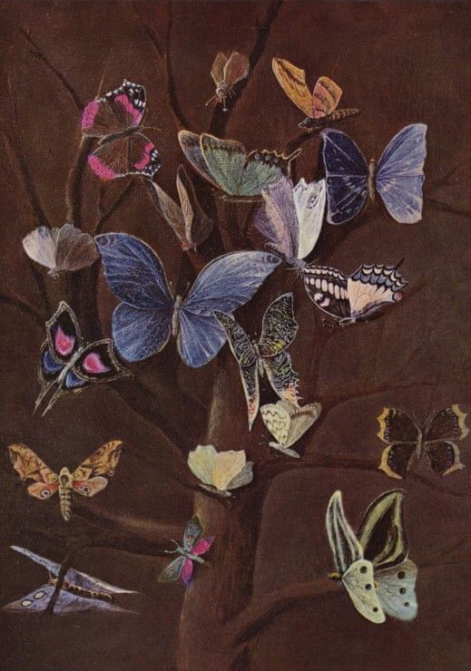 Grafika Puzzle 1000 dílků Wilhelm von Kaulbach : Schmetterlinge, 1860 - obrázek 1