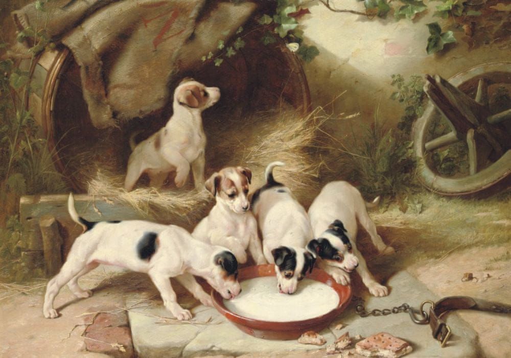 Grafika Puzzle 1000 dílků Walter Hunt : Puppies' Breakfast, 1885 - obrázek 1