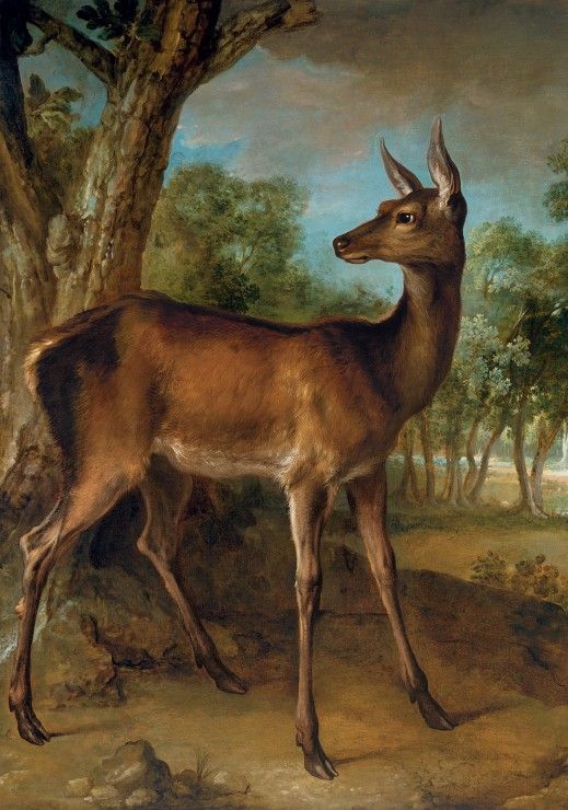 Grafika Puzzle 1000 dílků Jean-Baptiste Oudry: Biche aux Augets, 1729 - obrázek 1
