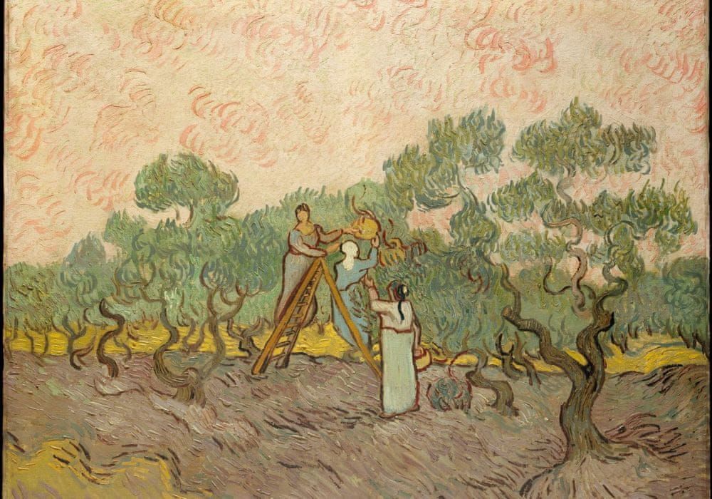 Grafika Puzzle 1000 dílků Van Gogh: Women Picking Olives,1889 - obrázek 1