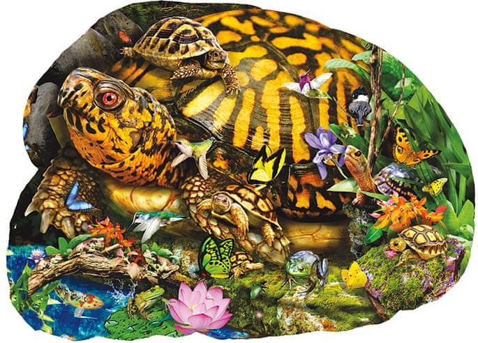SunsOut Puzzle 1000 dílků XXL dílků - Lori Schory - Tortoise Crossing - obrázek 1