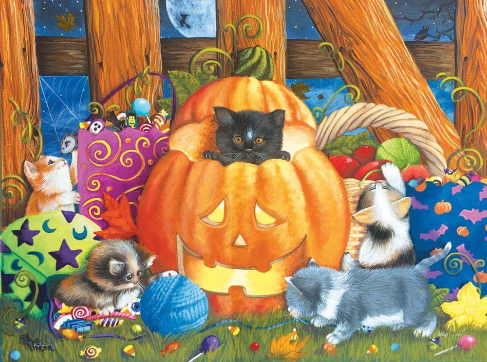 SunsOut Puzzle 1000 dílků Ashley Davis - Halloween Surprise - obrázek 1