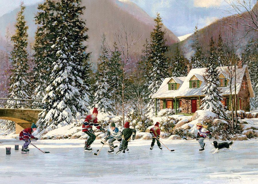 Cobble Hill Hockey Pond - obrázek 1
