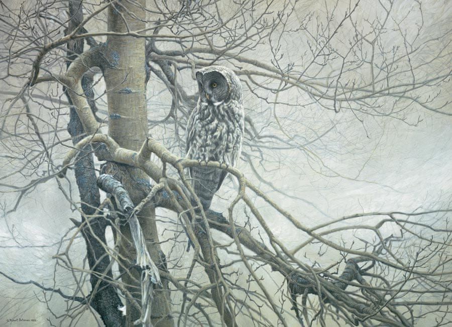 Cobble Hill Puzzle 1000 dílků Robert Bateman : Ghost of the North - obrázek 1