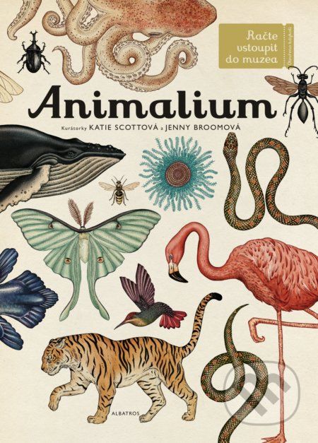 Animalium - Jenny Broom (ilustrátor), Katie Scott (ilustrátor) - obrázek 1