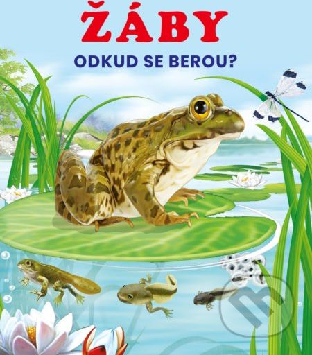 Žáby - - obrázek 1