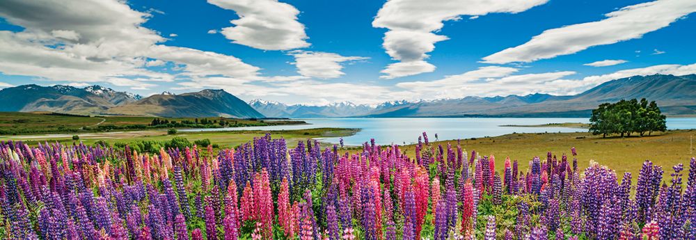 Heye Puzzle 1000 dílků Lake Tekapo - obrázek 1