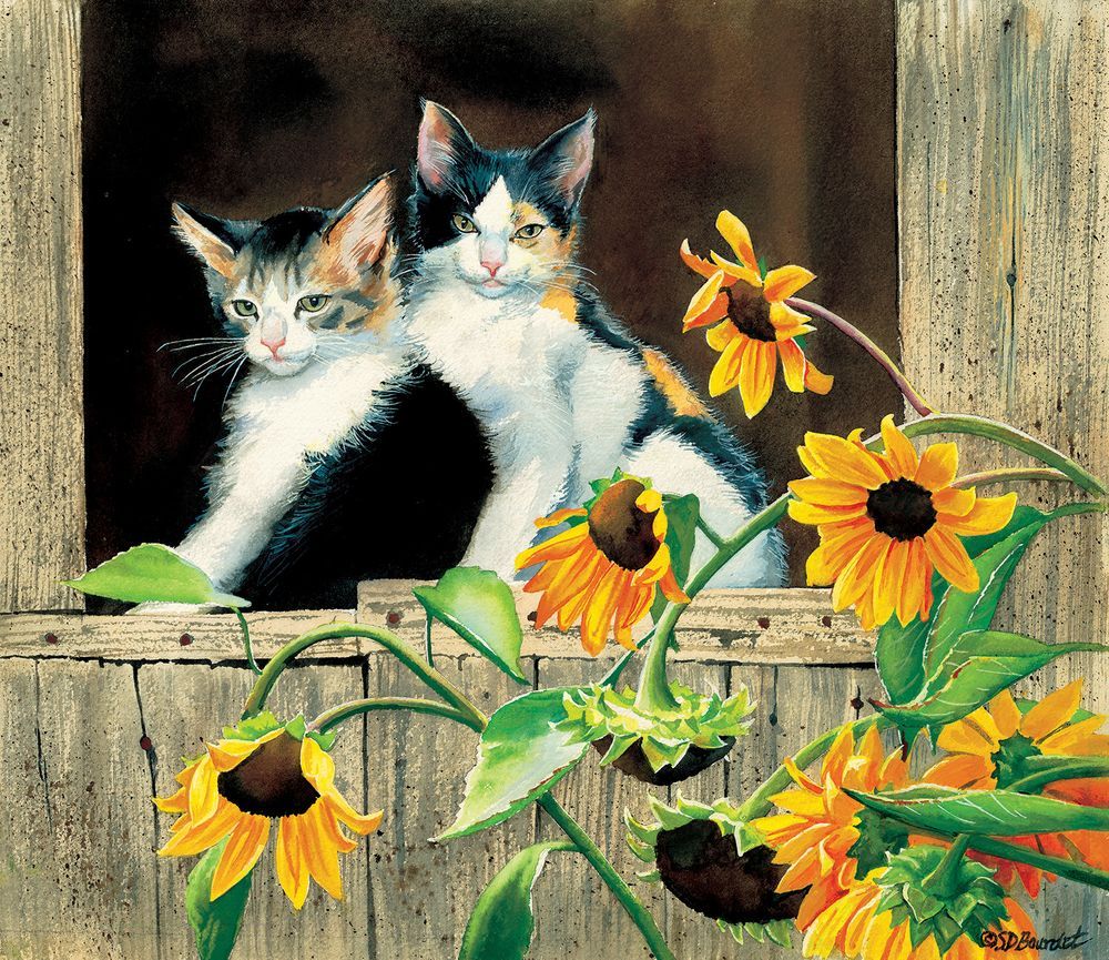 SunsOut Puzzle 550 dílků Susan Bourdet - Kittens and Sunflowers - obrázek 1