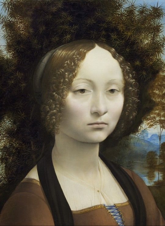 Grafika Puzzle 300 dílků Leonard de Vinci: Ginevra de' Benci, 1474-1476 - obrázek 1