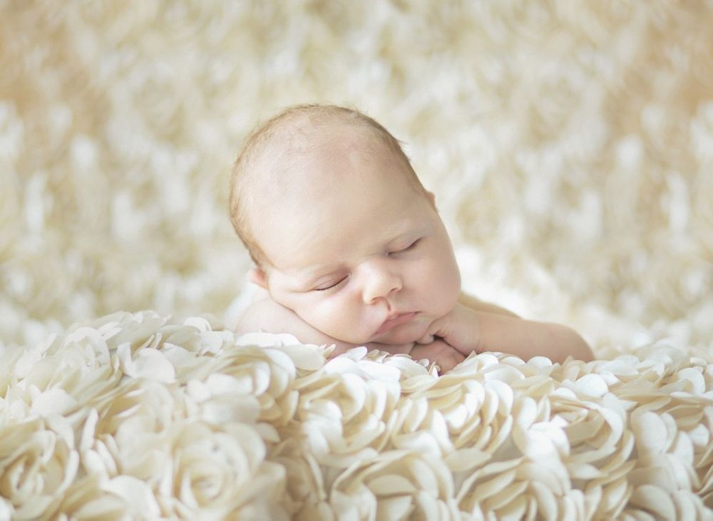 Grafika Puzzle 300 dílků Konrad Bak: Baby sleeping in the Roses - obrázek 1