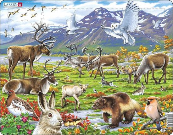 Puzzle Zvířata ve stepi 50 dílků - obrázek 1