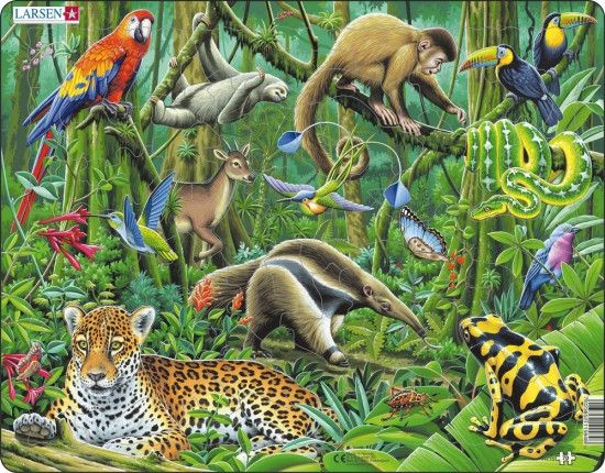 Puzzle Deštný prales Jižní Ameriky 70 dílků - obrázek 1