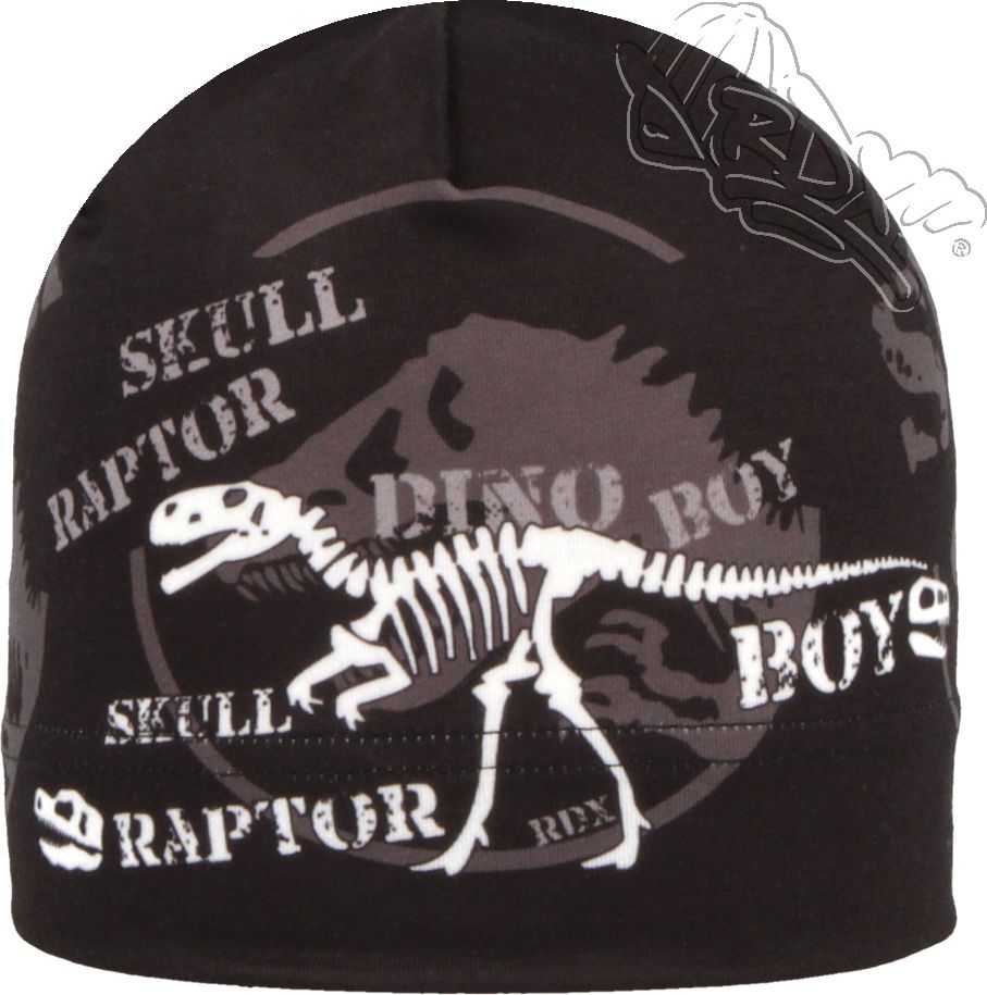 DĚTSKÁ ČEPICE RDX 0319 DINO BOY Velikost: 5 tyrkys - obrázek 2