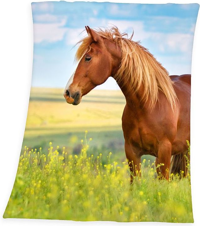 HERDING Fleece deka Kůň freedom Polyester, 130/160 cm - obrázek 1