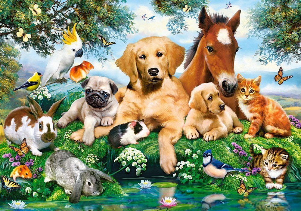 CASTORLAND Puzzle Letní přátelé 500 dílků - obrázek 1