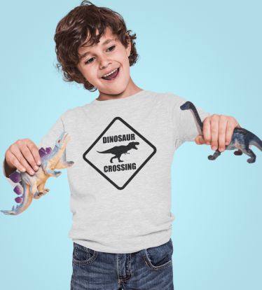 KIDSBEE Chlapecké bavlněné tričko Dinosaurus - sv. šedé - obrázek 1
