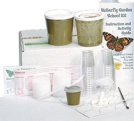 Insect Lore Náhradní sada 33 housenek - certifikát v obálce - obrázek 1