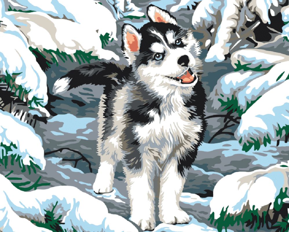 Maluješ Malování podle čísel - MALÝ HUSKY - 80x100, vypnuté - obrázek 1