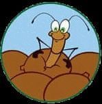 Insect Lore Náhradní sada vajíček strašilky - certifikát - obrázek 1