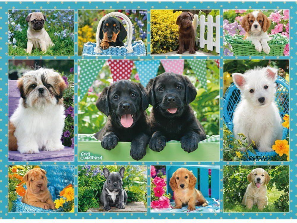 Ravensburger Puzzle 500 dílků Collage - Dogs - obrázek 1