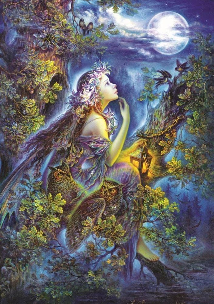 Art puzzle Puzzle V mých snech 1000 dílků - obrázek 1