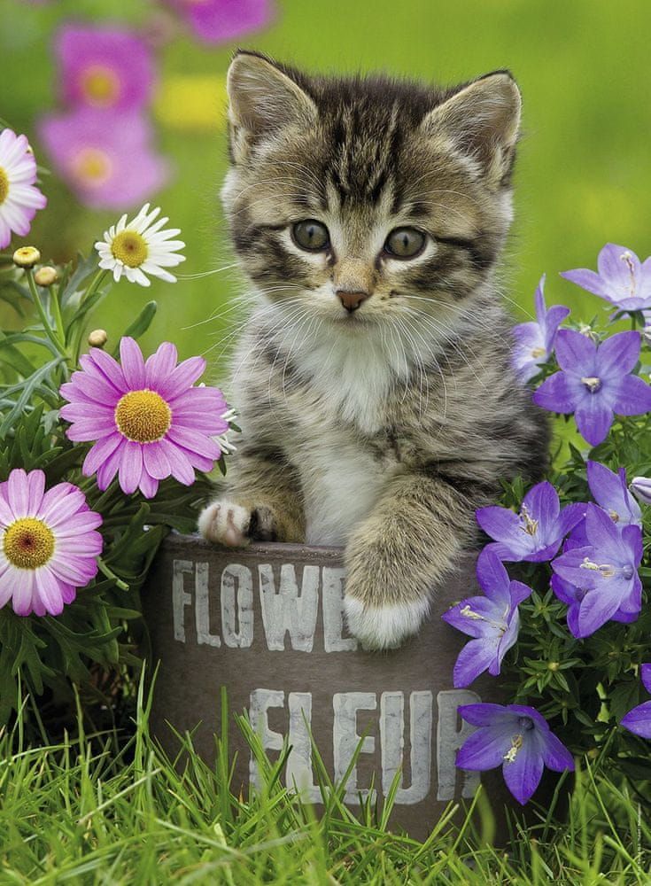 Ravensburger Puzzle 100 dílků Kitten amongst the Flowers - obrázek 1