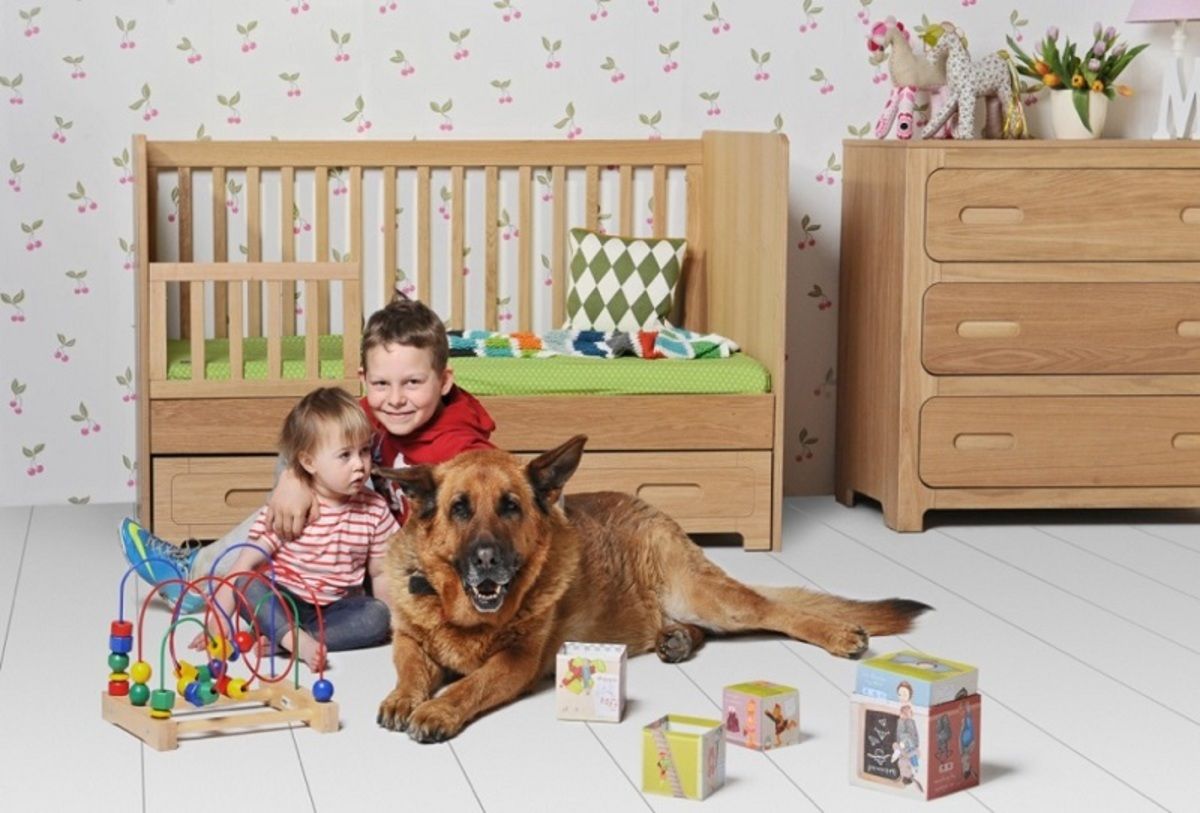 Dětský pokoj Sherwood postýlka 140x70 se šuplíkem - obrázek 6