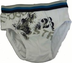 Chlapecké spodní prádlo - SLIPY SKATE bílé - vel.122-128 - obrázek 1