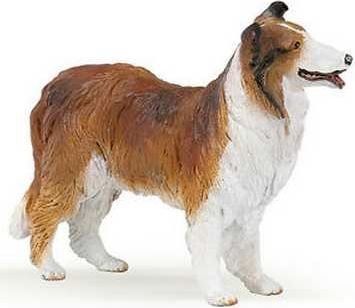 PAPO Kolie Lassie - obrázek 1